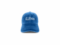 BLUE SUEDE CAP